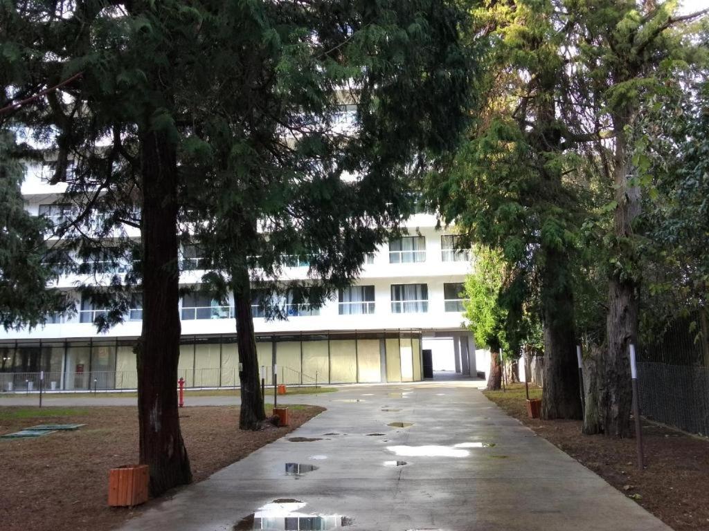 Bamboo Beach Tsikhisdziri LATTE - Ferienwohnung Zichisdsiri