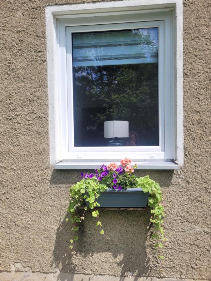 Ferienwohnung Hasenwinkel - B&B