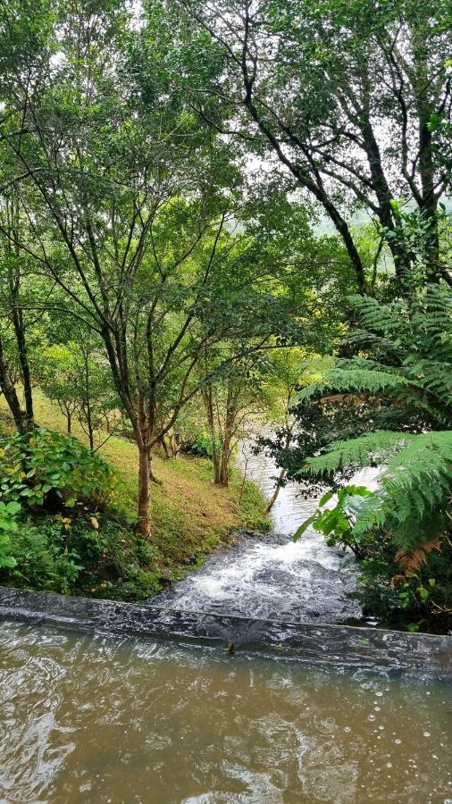 Natureza e conforto em um só lugar - Chambres d’hôtes Barão