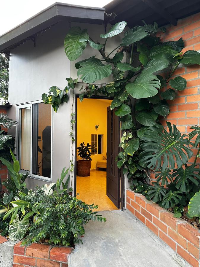 Casa de Ali - Ferienwohnung Pereira