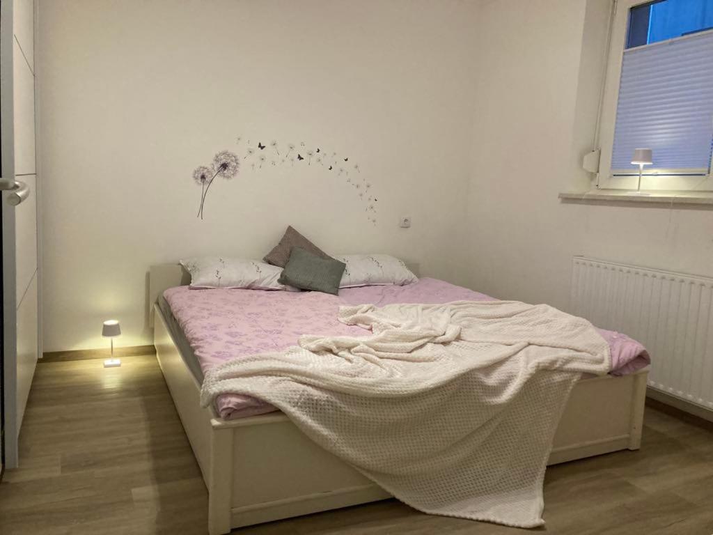 Appartement 1 Chambre