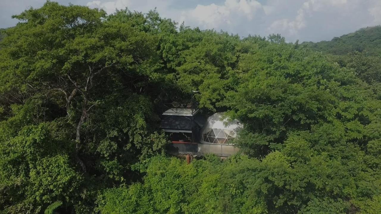 Cocolhu Treehouse & Ocean View - Ferienwohnung
