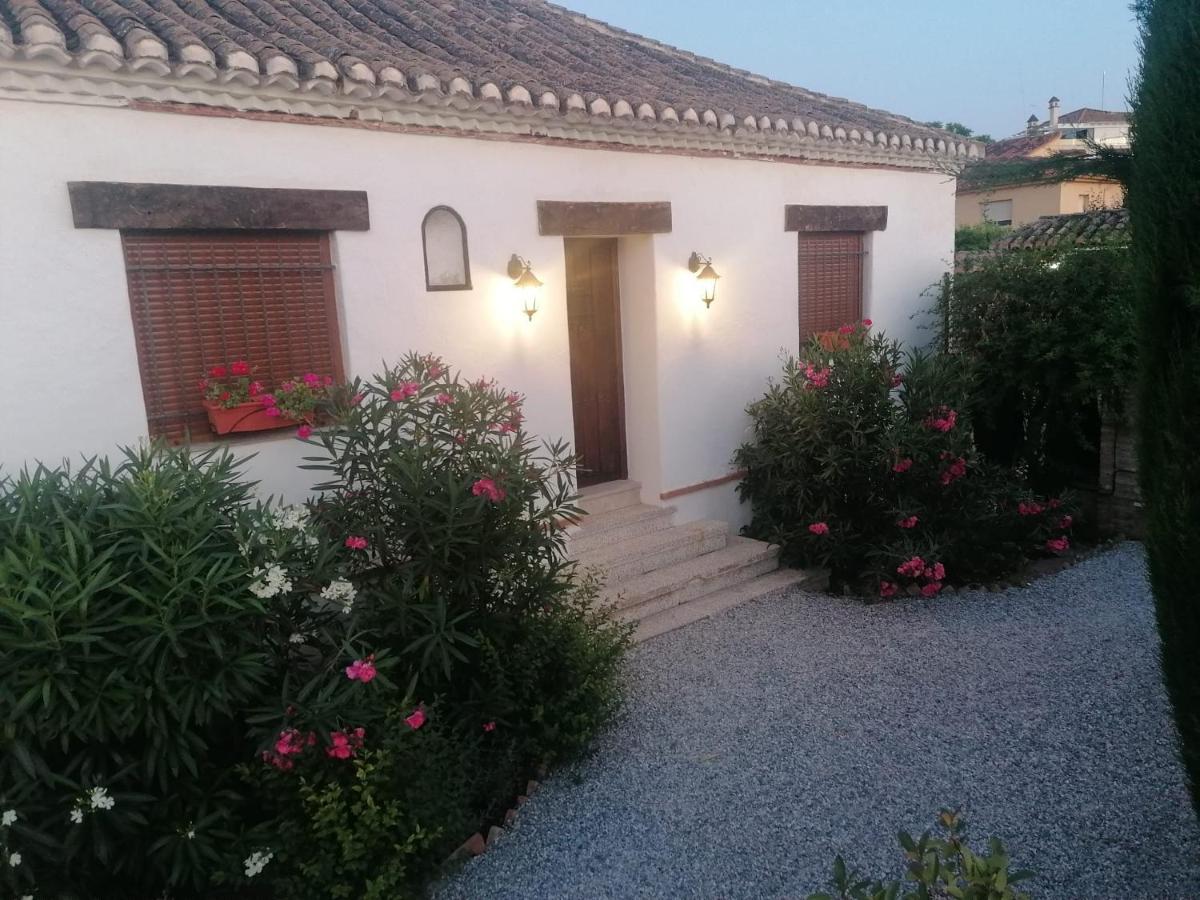 La Ermita - B&B La Zubia