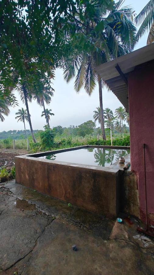 Oasis Farm Stay - Chambres d’hôtes Bangalore