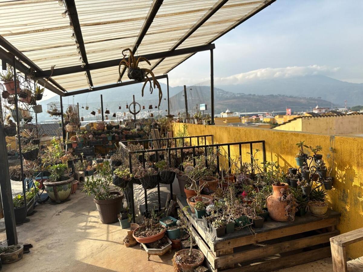 Confort, seguridad y excelente ubicación - Chambres d’hôtes Amatitlán