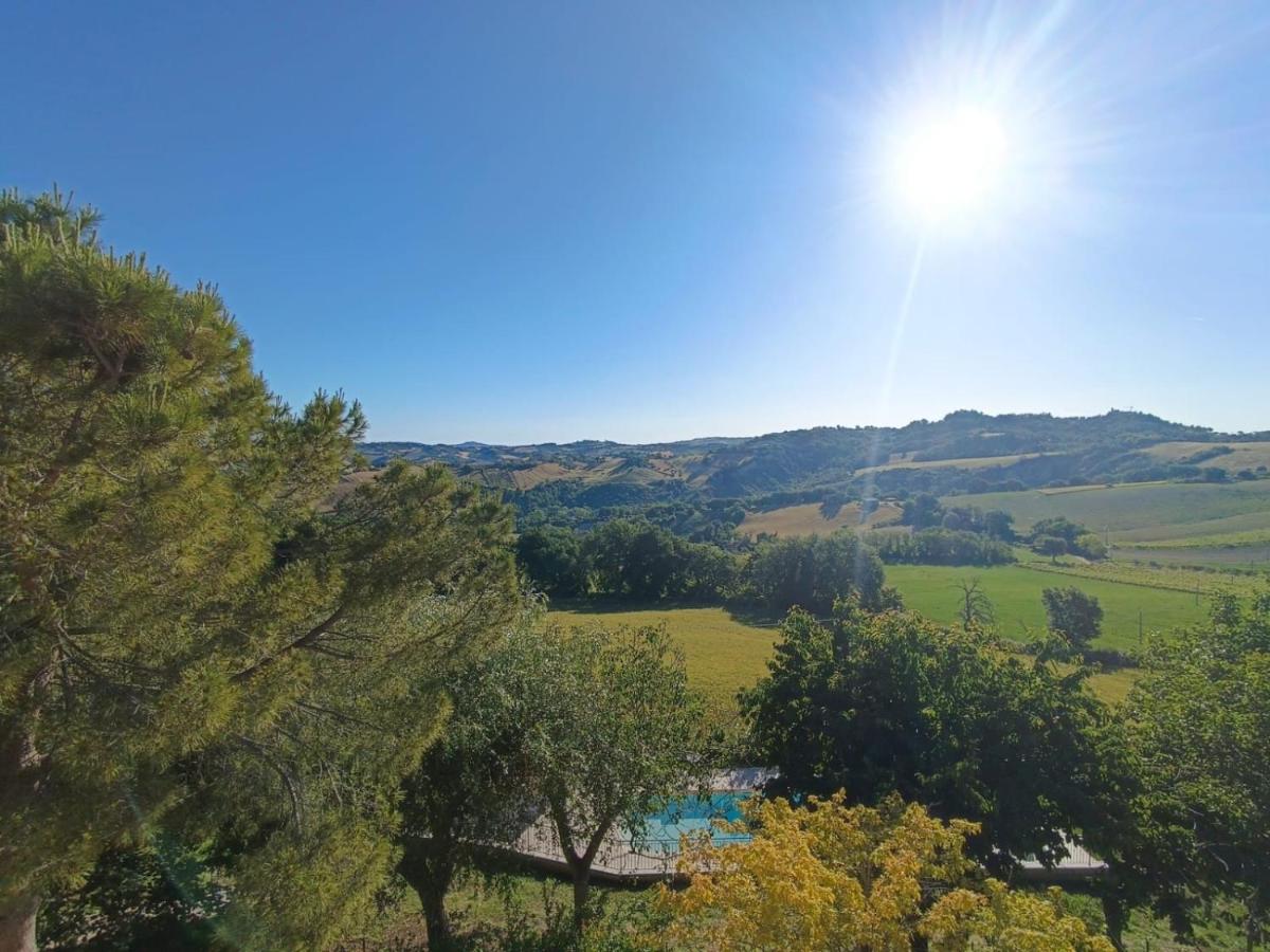 Country House "I luoghi dell' anima"con piscina e giardino - B&B Montottone