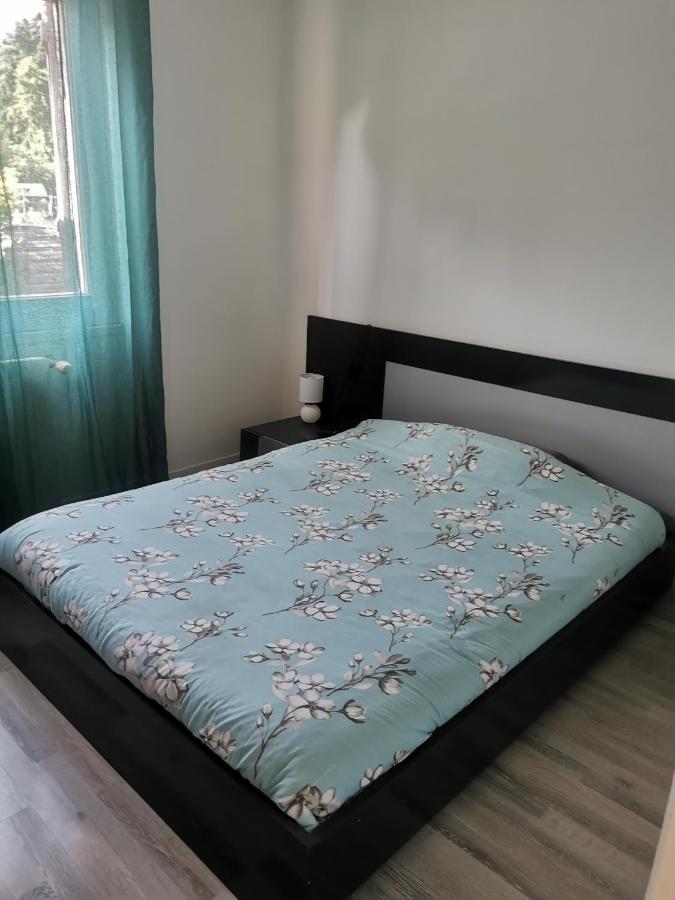 Suite with Terrace