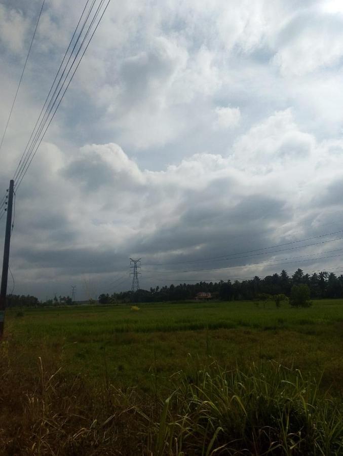 Sanda Diya Dahara - B&B Madurugamuwa