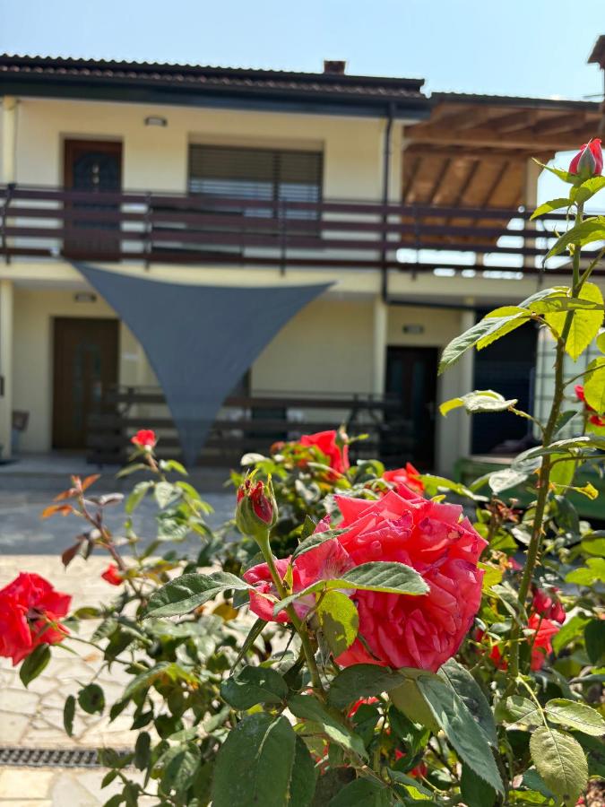 Suzi Apartments - B&B Corgnale