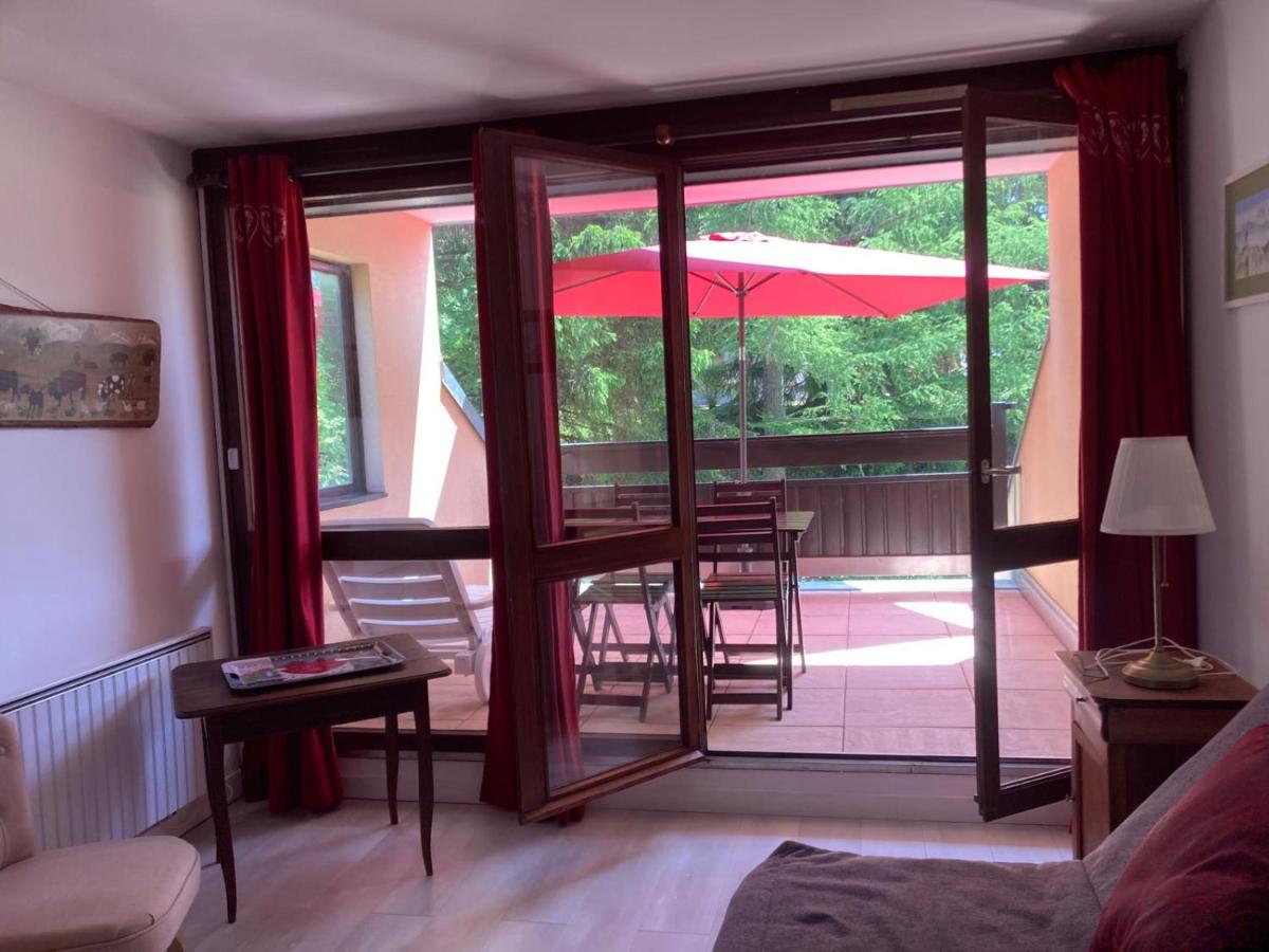 Grand studio 34 m2 à Villard de Lans proche Centre - B&B