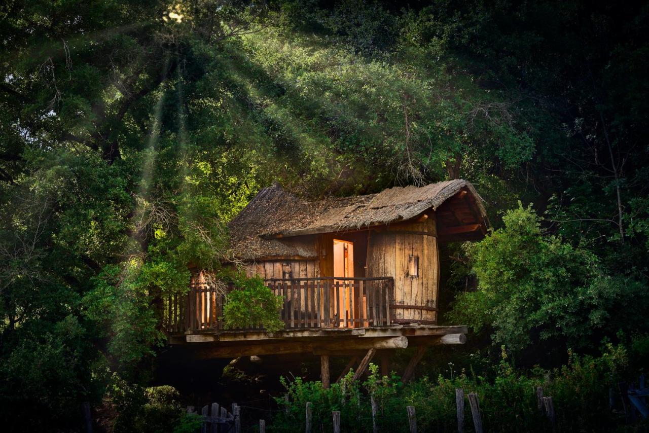 Agroturismo Mari Cruz - B&B