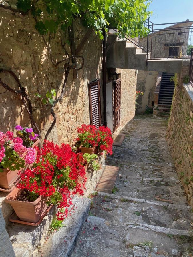 Casa del Capitano Rocca d'Orcia - B&B Castiglione d'Orcia