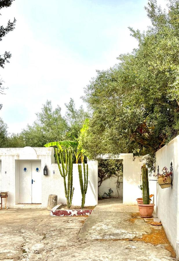 Jolie Villa Cosy Proche de la Plage - B&B Hammamet