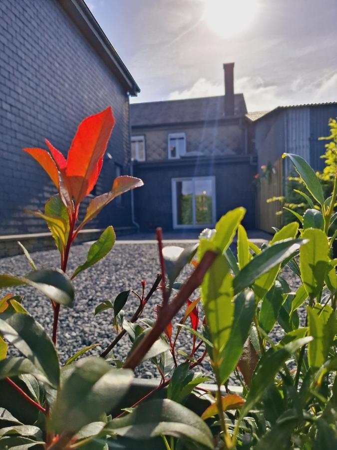 Chez Camil - B&B La Roche-en-Ardenne