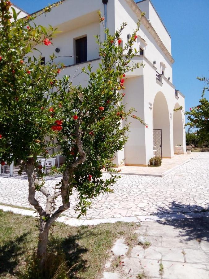 Tenuta degli Agrumi - B&B
