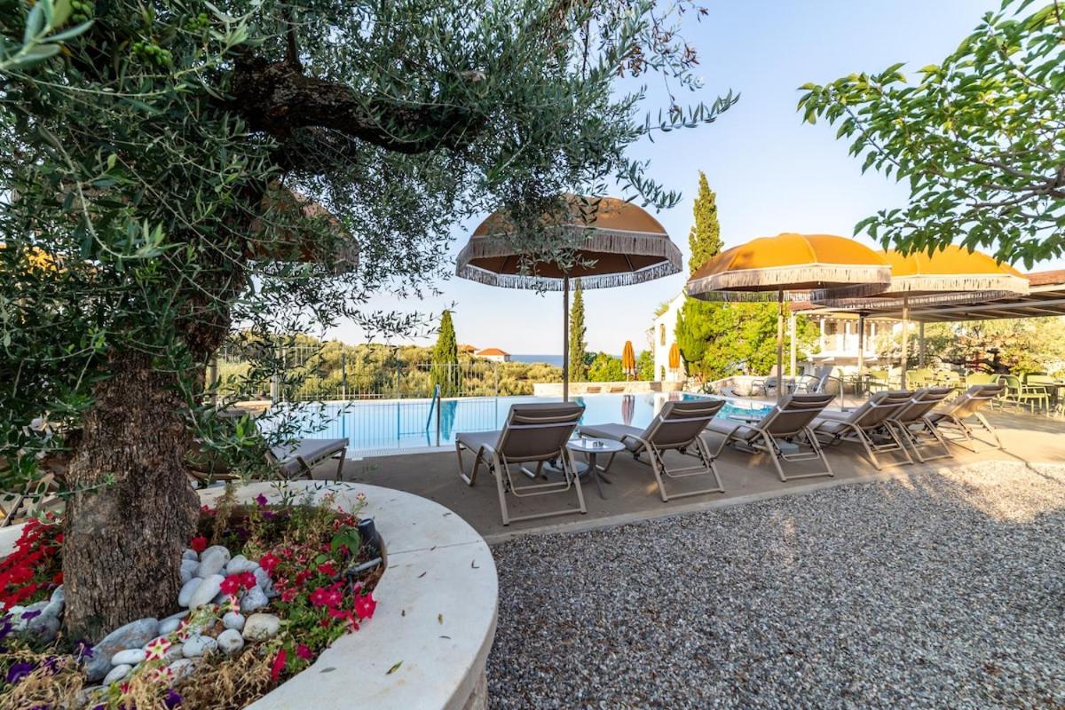 Olympia Zervea Studios with Pool #5 Triple - B&B Kardamyli