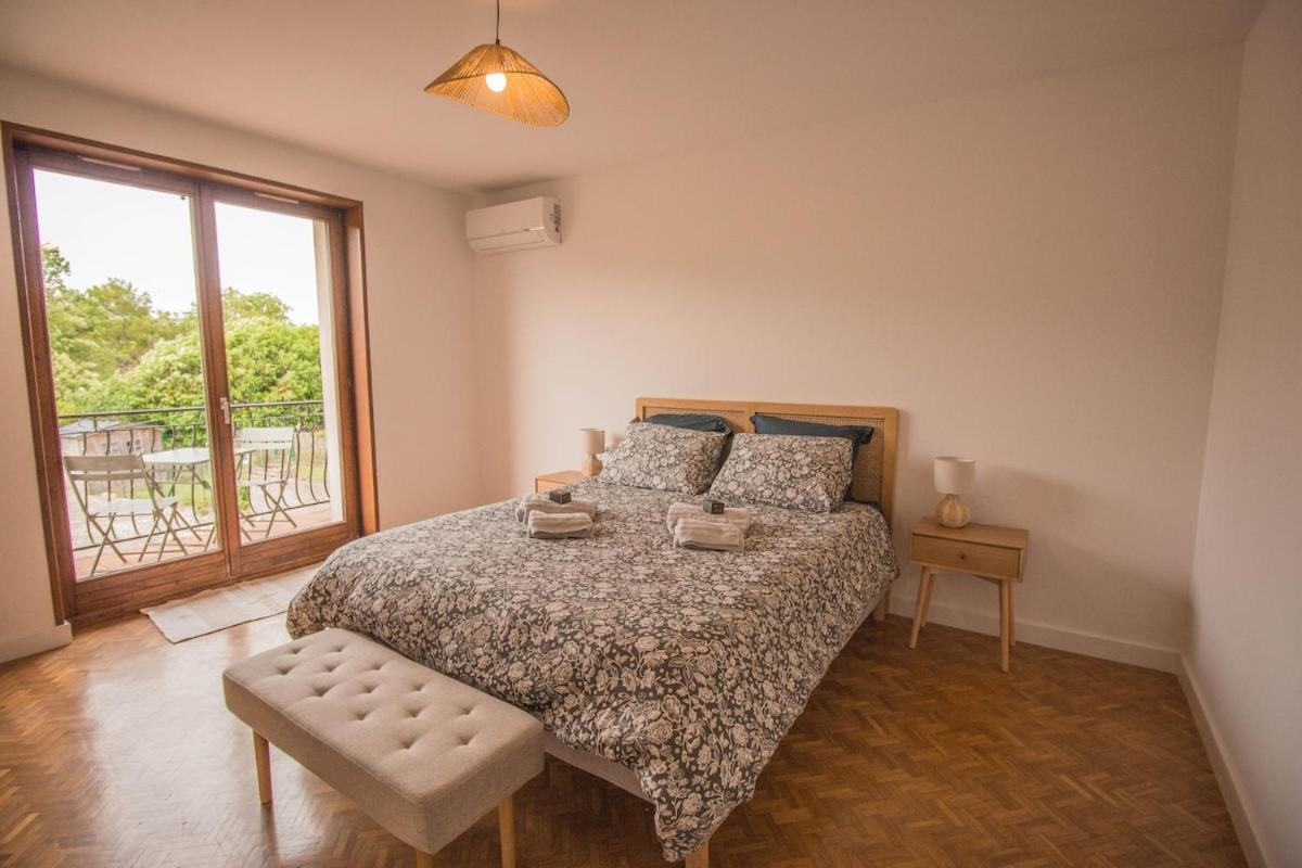 Appartement, Au Chant Des Oiseaux - B&B