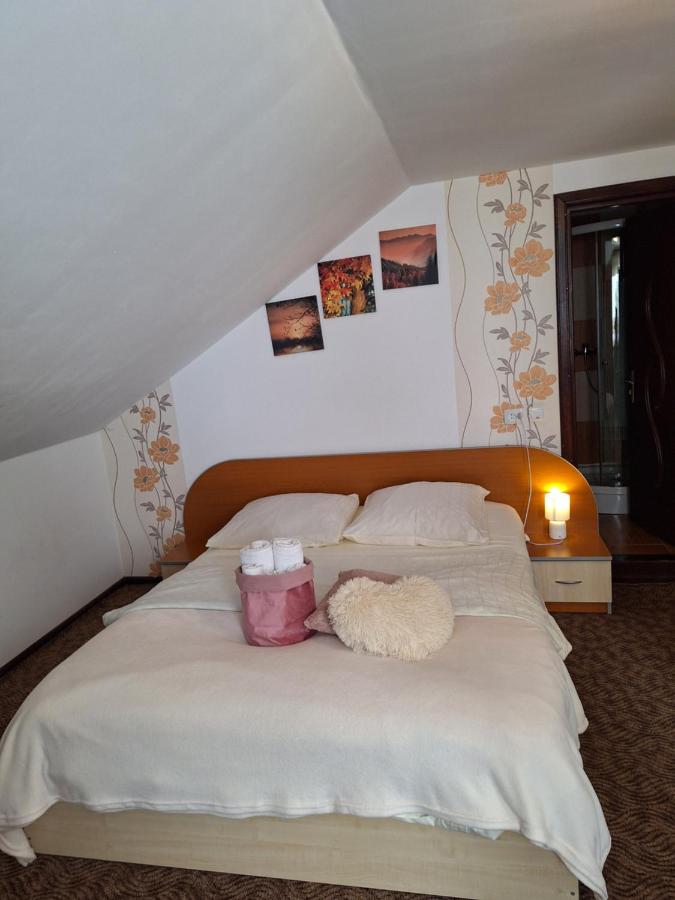 Casa Janina - Ferienwohnung Moieciu de Sus