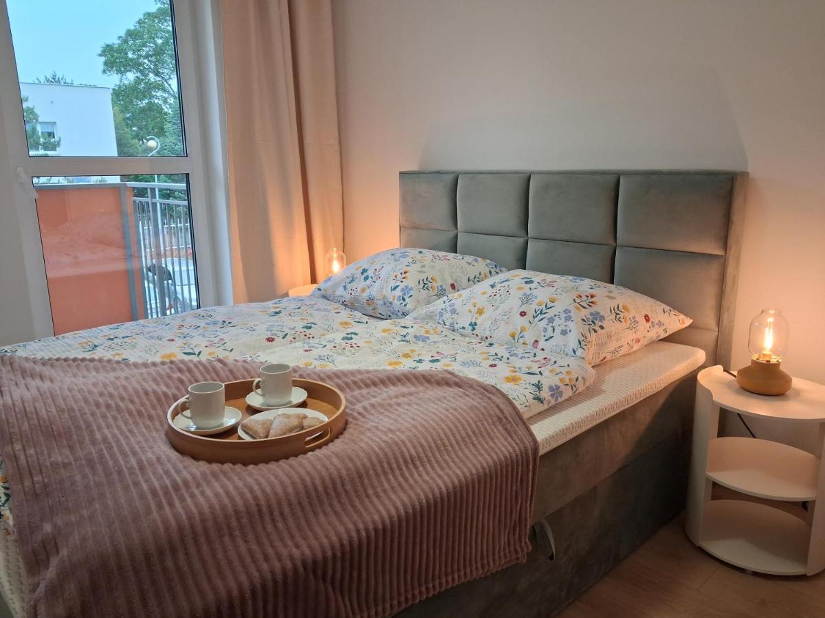 Appartamento con 1 Camera da Letto