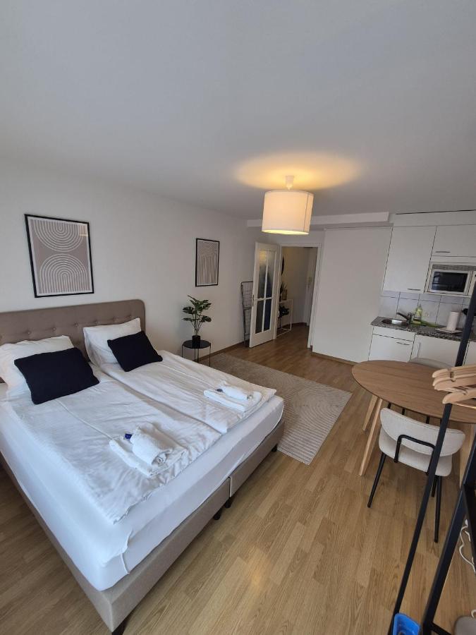 Cute studio in the center - Crown 42 - B&B Zurigo