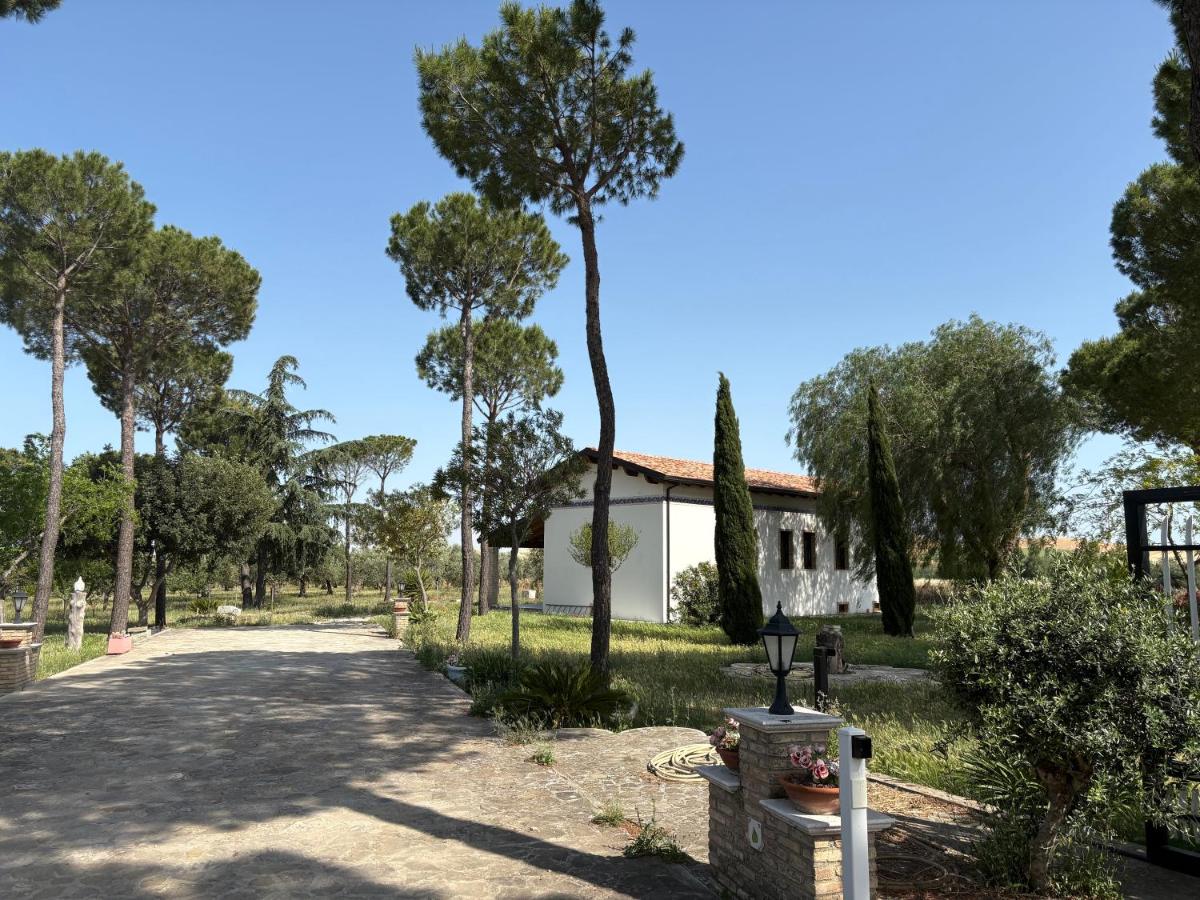 Masseria I Pini - B&B Biccari
