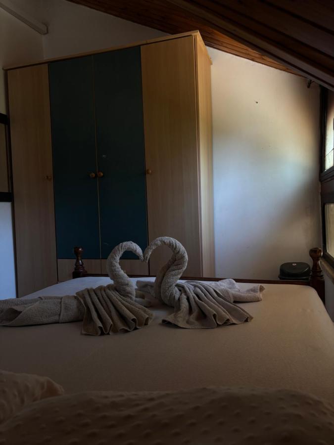 וילת הברבורים - B&B Safad