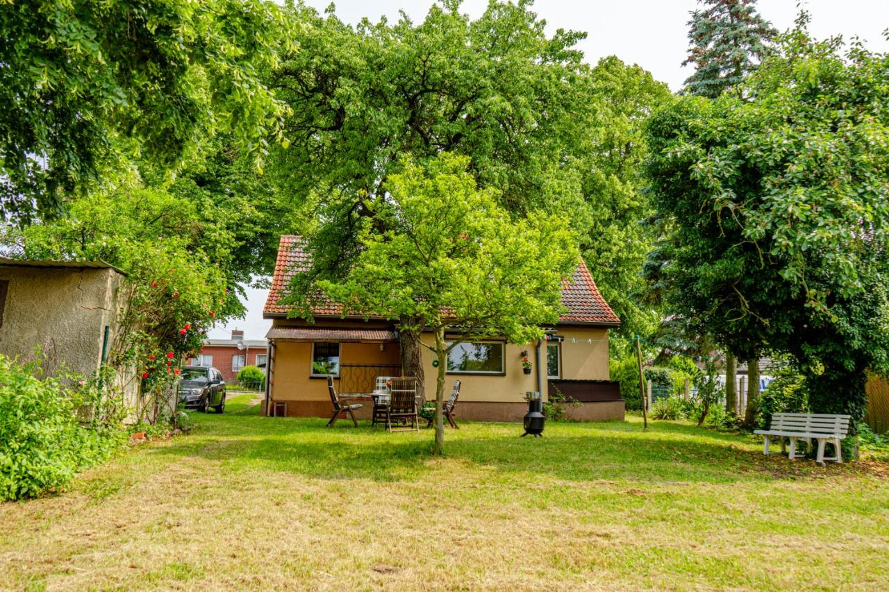 Träumen unter Bäumen - Omas lütte Obstbutze am See - Bed and Breakfast Lübstorf