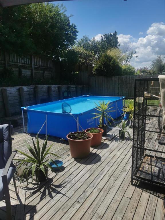 Double Room Free WIFI - B&B Hamilton