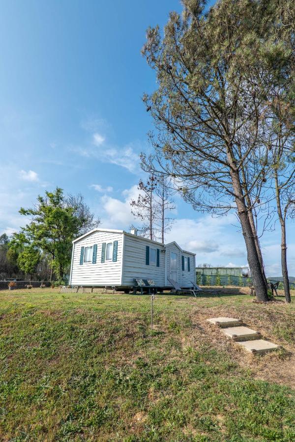 Glamping Frog Farm - B&B Foz do Sousa
