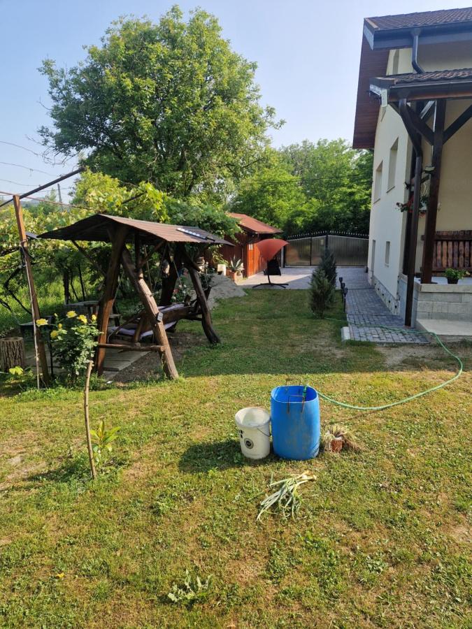 Casa Larisa - B&B