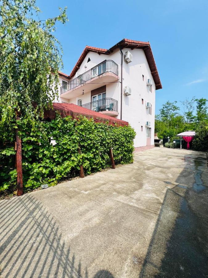 Vila Raysa și Andrei - B&B
