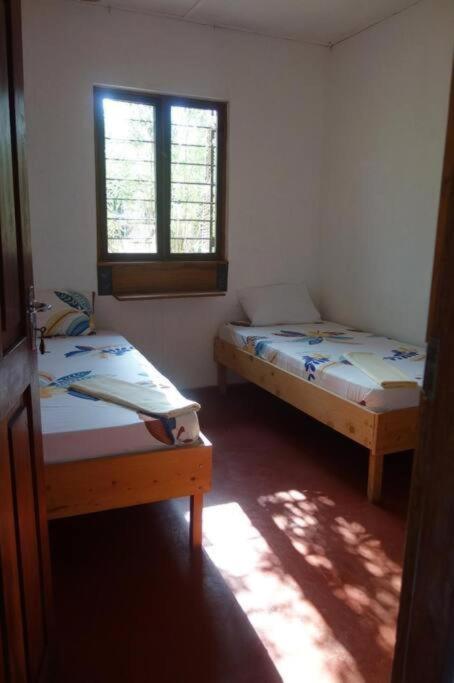 Chambre Lits Jumeaux avec Salle de Bains Commune