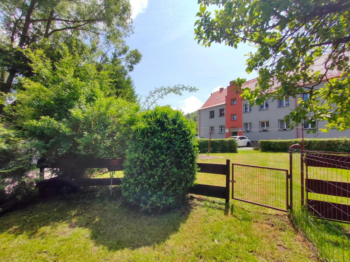 Gniazdko Czarodzieja - B&B