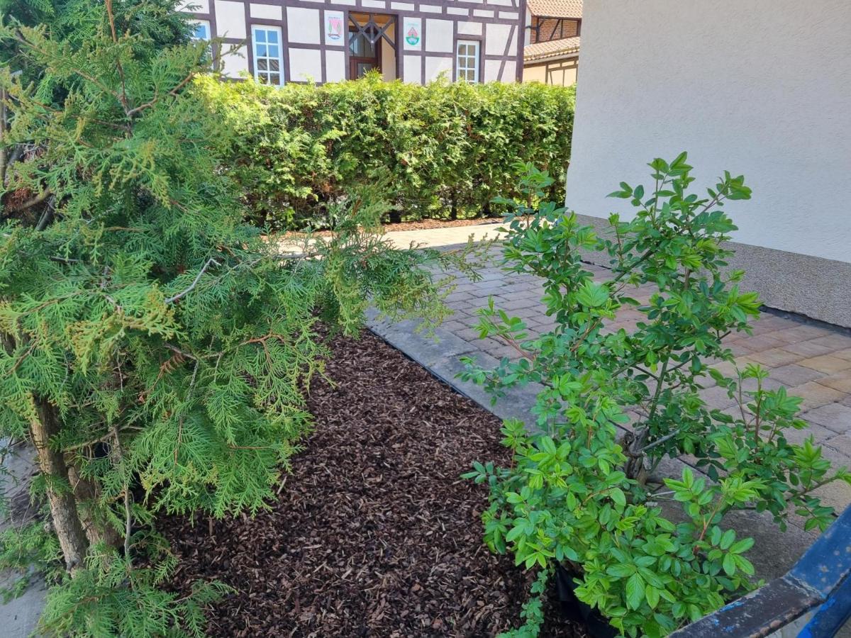 Kulturhof Auleben - Bed and Breakfast Hamma