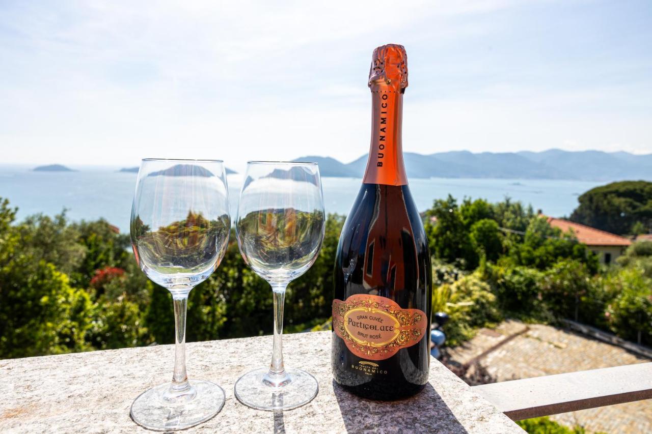 Villa Zanelli Terrace - Ferienwohnung Lerici