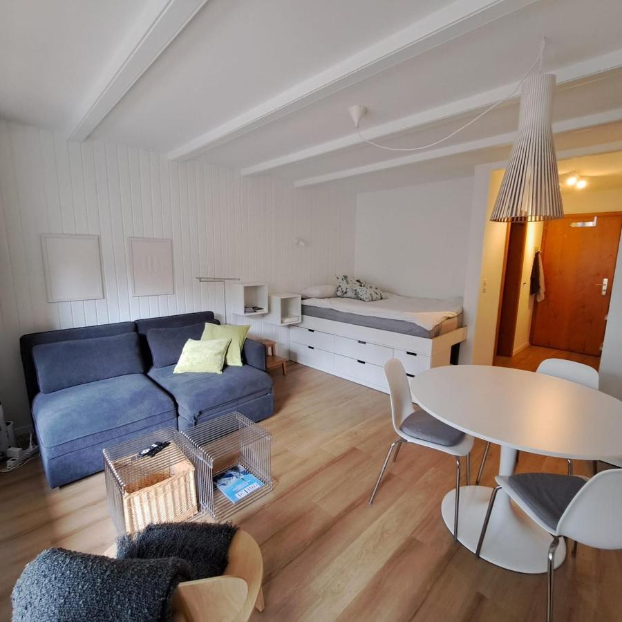 Le Flocon Studio in Ovronnaz close to the baths - B&B