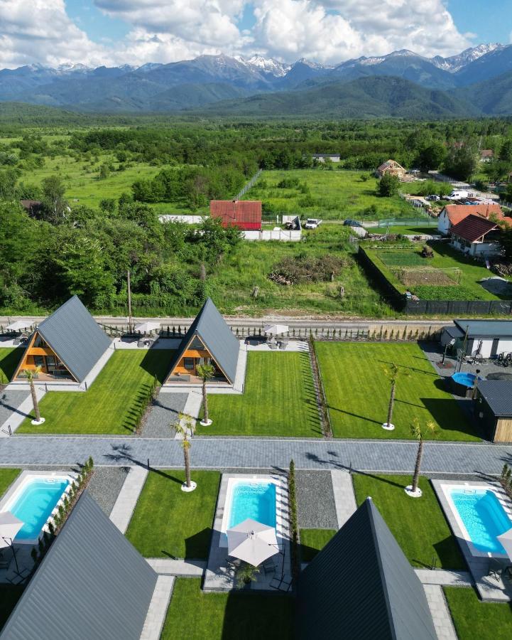 PRIVATE PLACE Avrig adults only - B&B Avrig