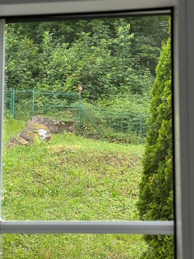 Hawk Studio - B&B Baden-Baden