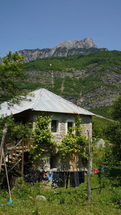 Motina River Guesthouse - B&B