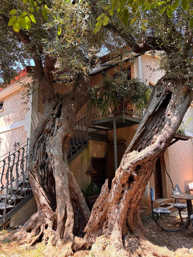 VILLINO TROCCOLI, Appartamento Alice - Ferienwohnung Marina di Camerota