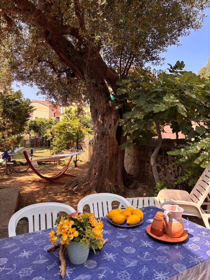 VILLINO TROCCOLI, appartamento Morena - B&B Marina di Camerota