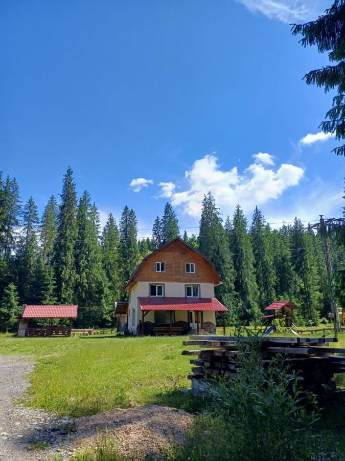 Cabana Elena - B&B Izlaz