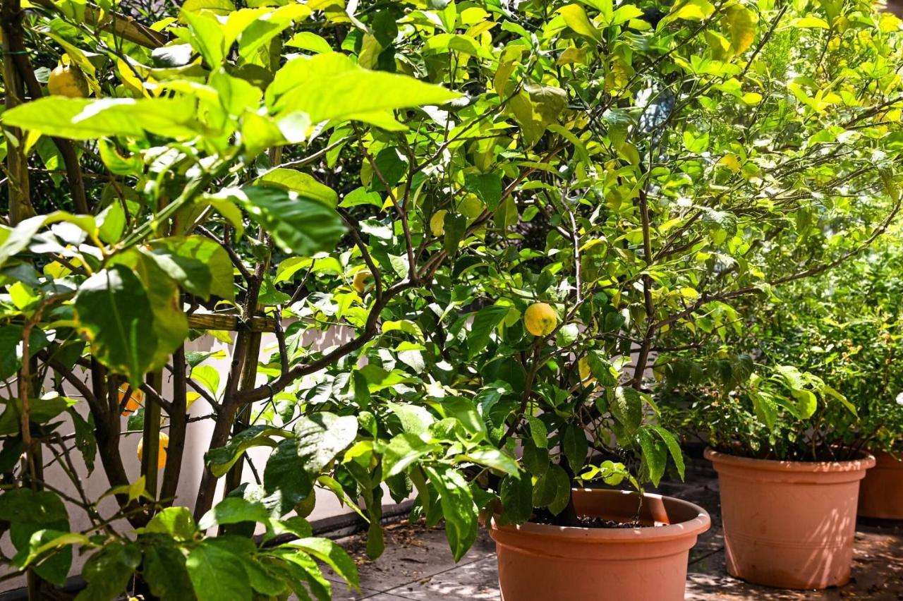 One Only Lake View Apartment - B&B Lugano