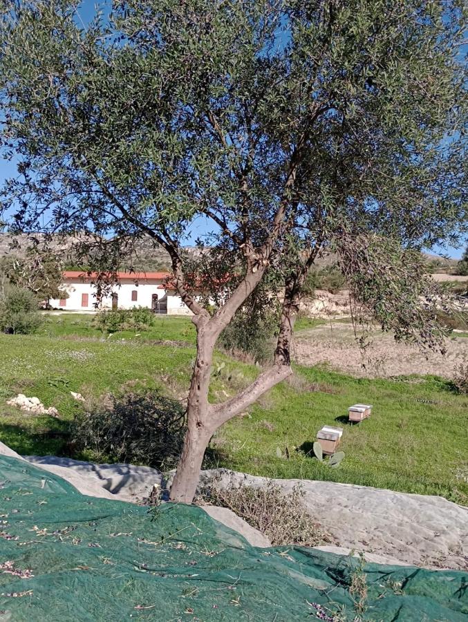 Fodor - B&B Avola