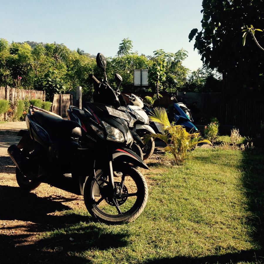 Herry Homestay Kuta Lombok - B&B Katilampak
