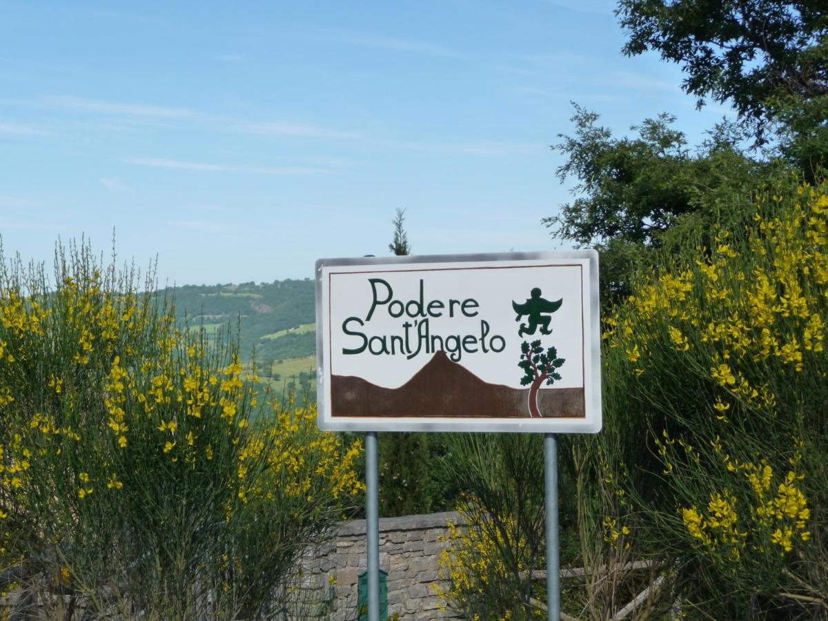 Podere Sant'Angelo - B&B Roccalbegna