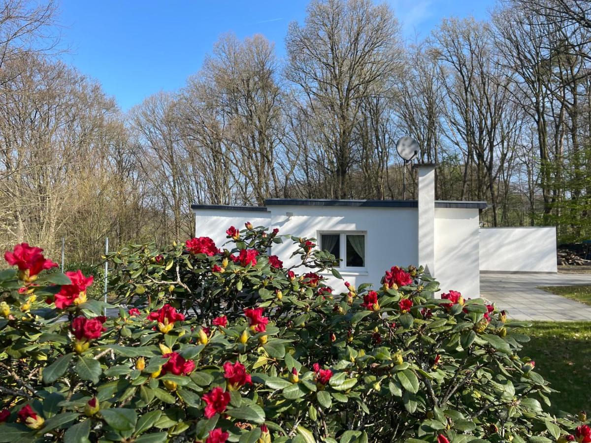 Dhünntalsperre Ferienhaus Urlaub in schönster Natur - Chambres d’hôtes Wermelskirchen