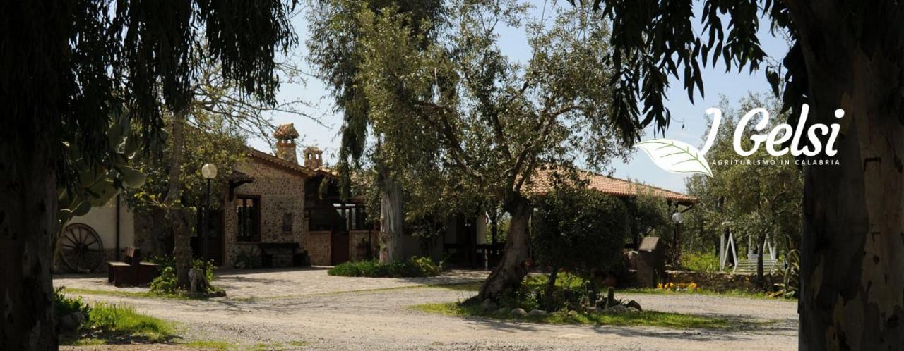 Agriturismo I GELSI - B&B Francavilla Marittima