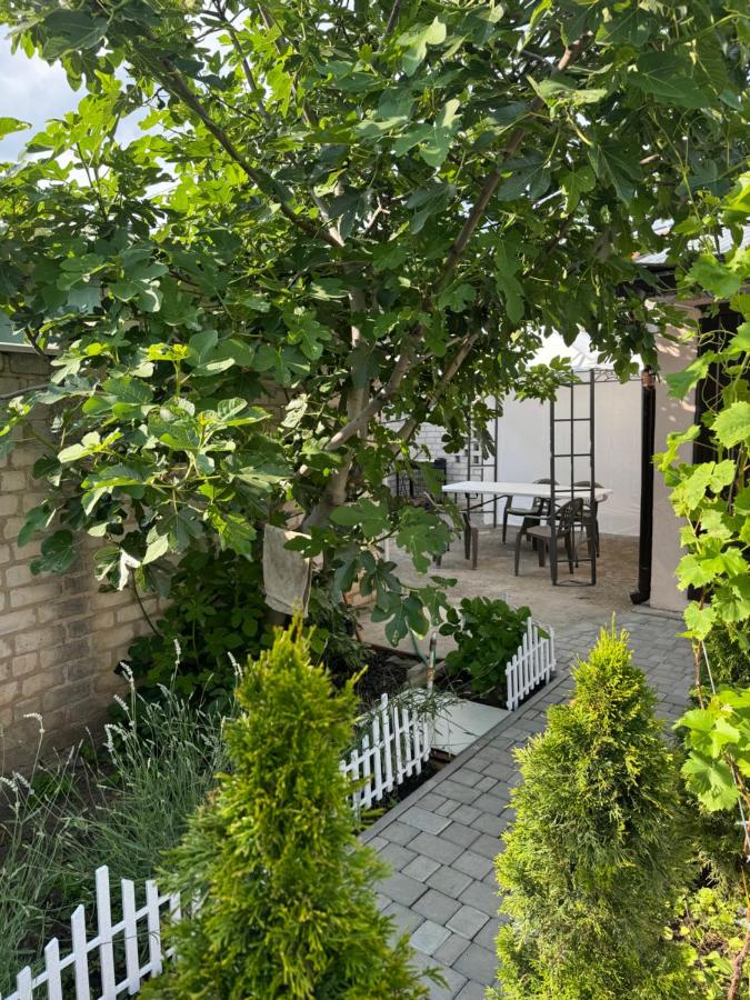 Sunny Nest - Ferienwohnung Odessa