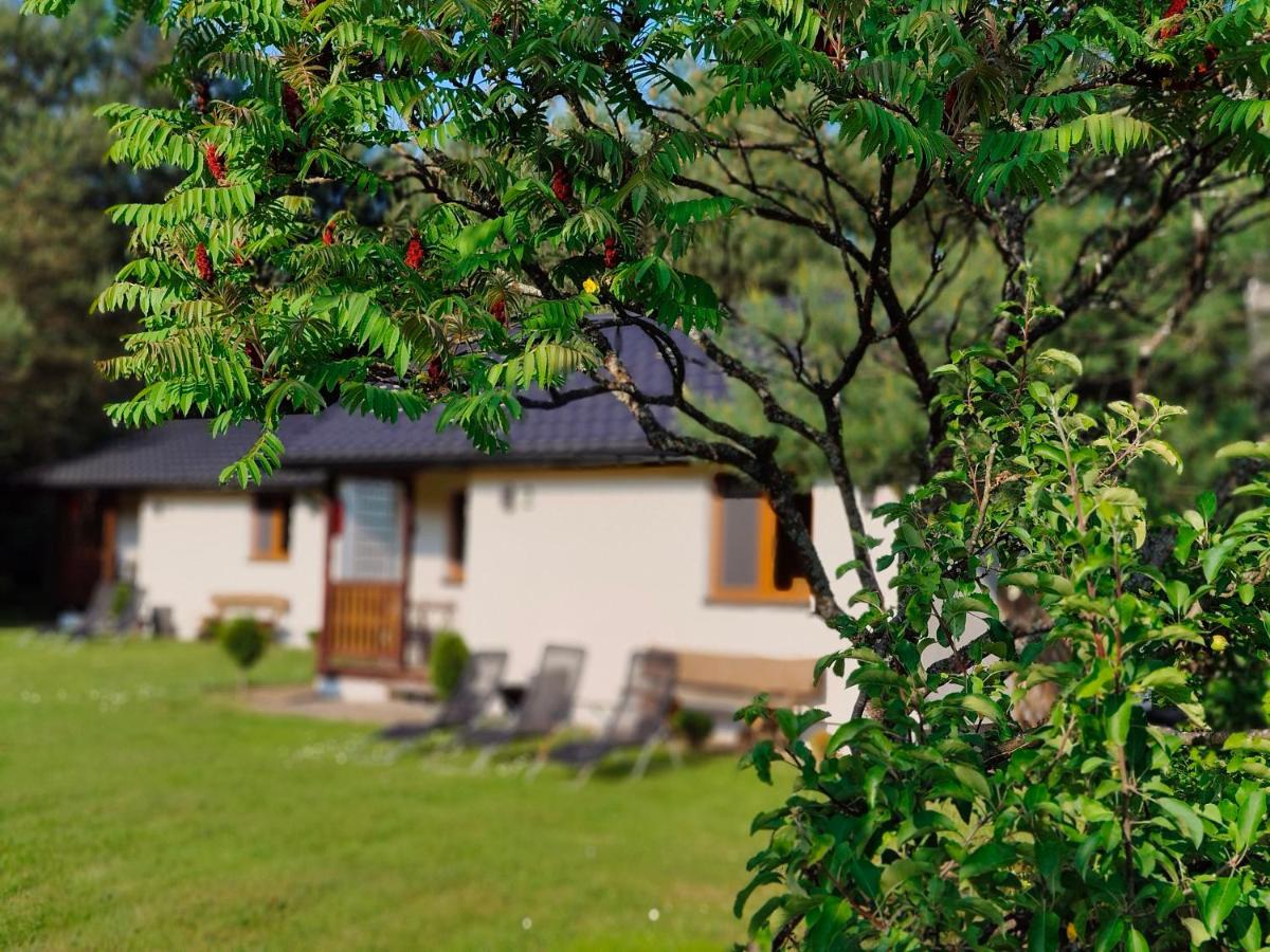 Chatki Leśniczego z basenem 517-665-624 - Chambres d'hôtes Bukowiec